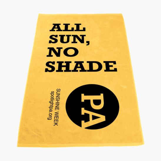 'All Sun, No Shade' Beach Towel | PRE-ORDER NOW